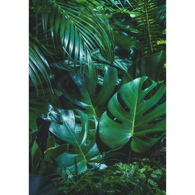 Digital Print Panels tropical leaves